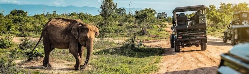 Ontdekkingsvakantie in Sri Lanka 2027