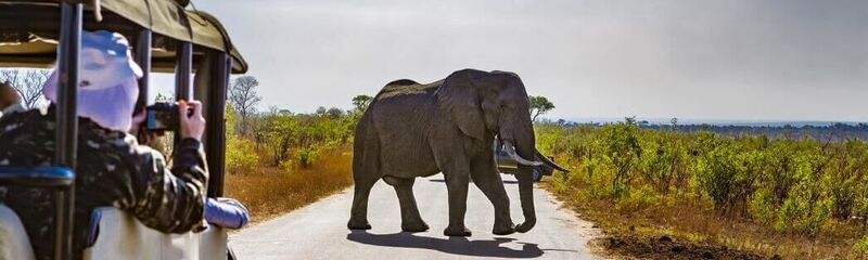 Rondreis Zuid-Afrika 2027
