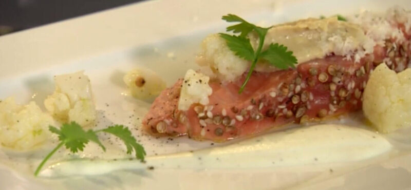 Gepekelde zalm 'mi-cuit', bloemkool, yoghurt en hummus